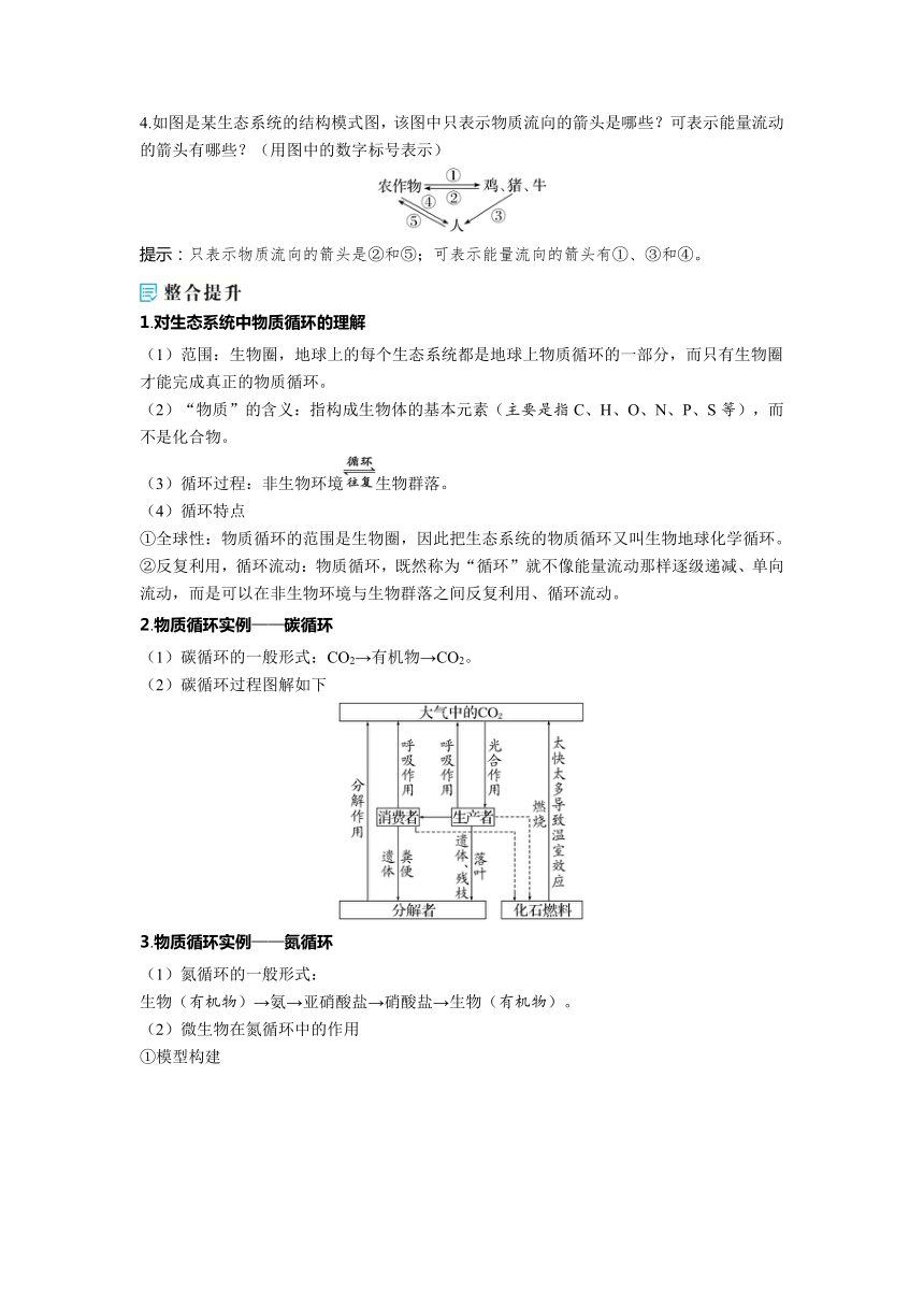 2023-2024学年浙科版选择性必修2 第三章第四节　生态系统中的物质能被循环利用 学案（含解析）