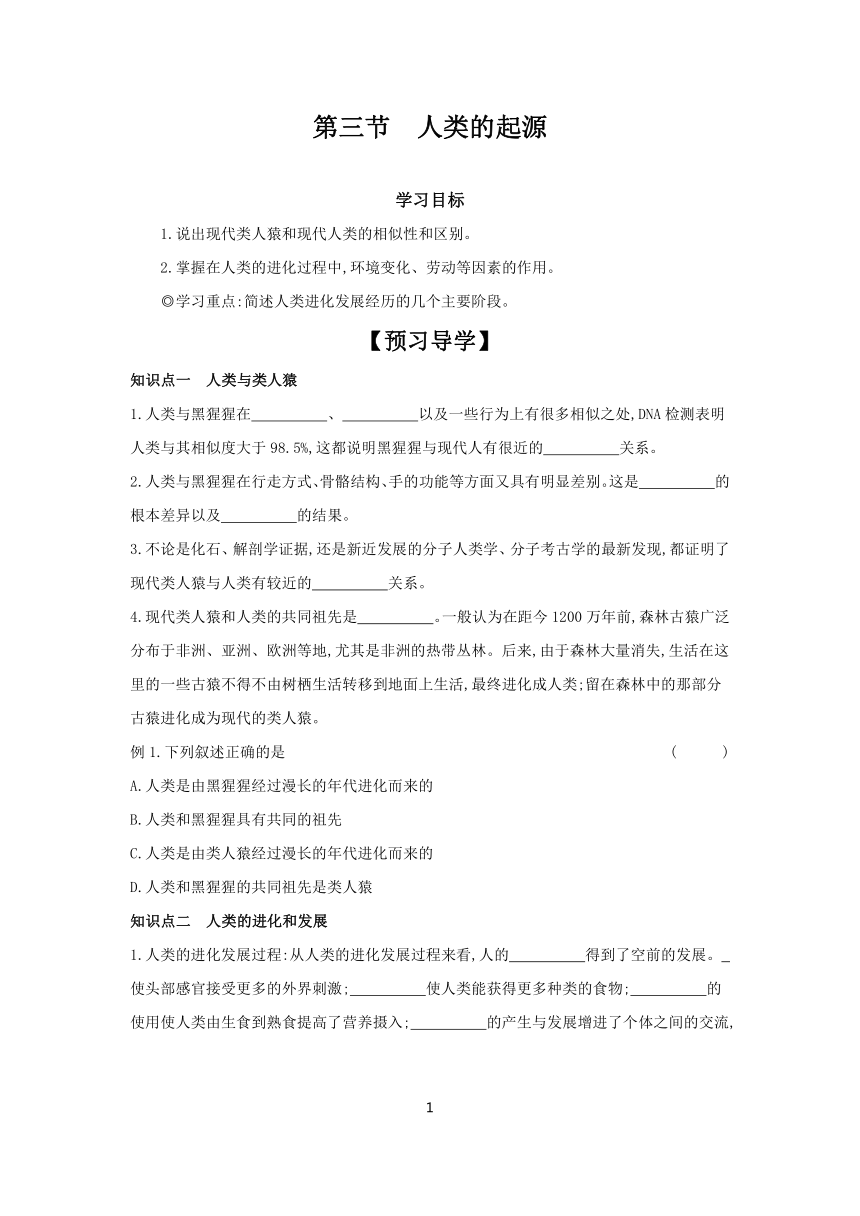 6.3.3 人类的起源  学案 （含答案）2023-2024学年初中生物冀少版八年级下册