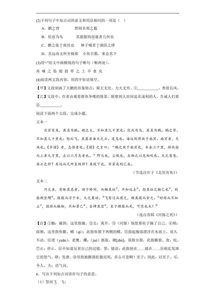 2024年九年级中考语文专题复习：《北冥有鱼》对比阅读（含答案）