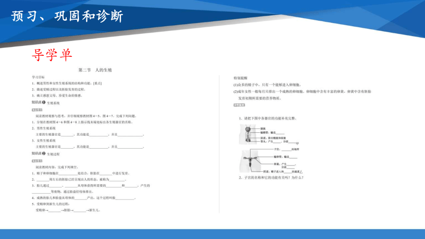 【新课标】人教版七年级下册 生物作业开发与设计分享(共22张PPT)