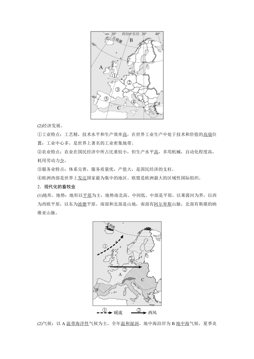 2024年中考地理一轮复习 学案  课时11　中东　欧洲西部（含解析）