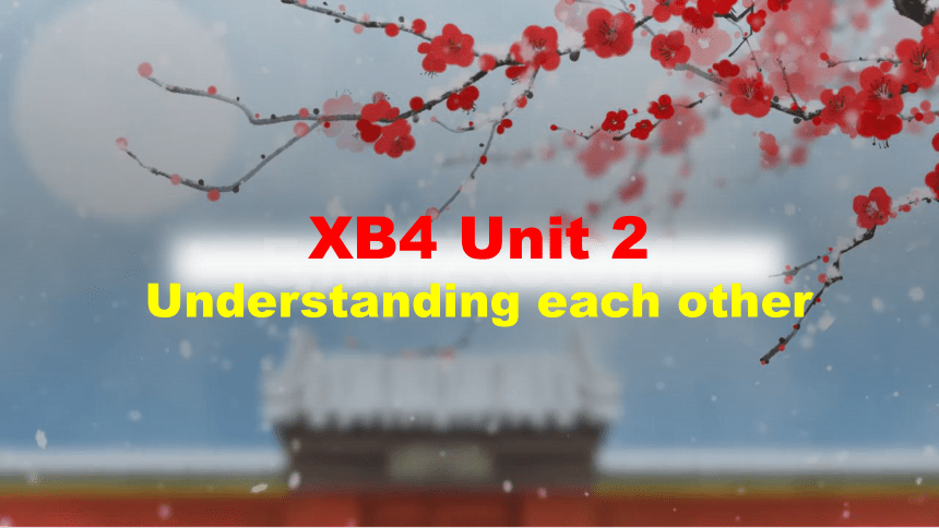 牛津译林版（2020）选择性必修第四册 Unit 2 Understanding each other Reading课件 （23张PPT含视频）