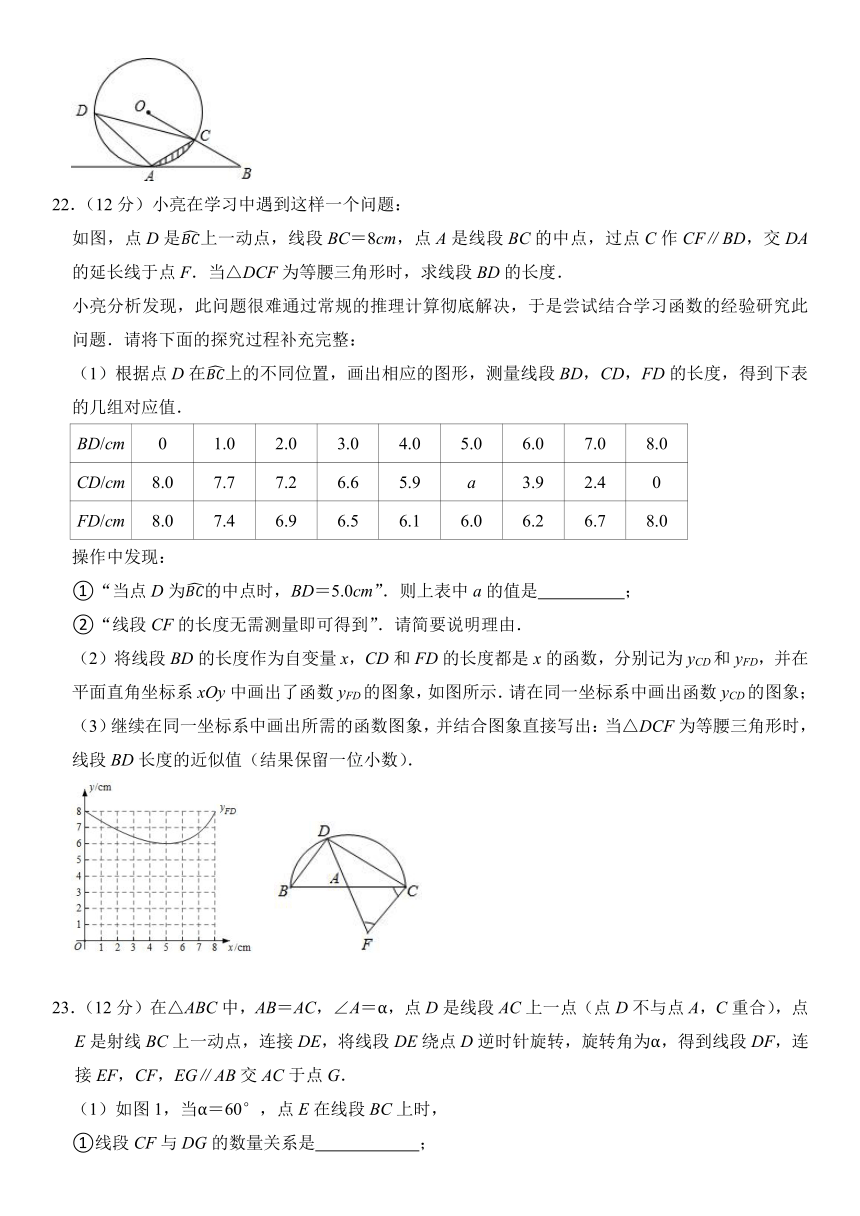 2024年辽宁省沈阳市浑南区一模考前数学练兵试卷（一）（含答案）