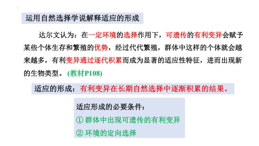 6.2自然选择与适应的形成课件（共32张PPT）-人教版（2019）必修2