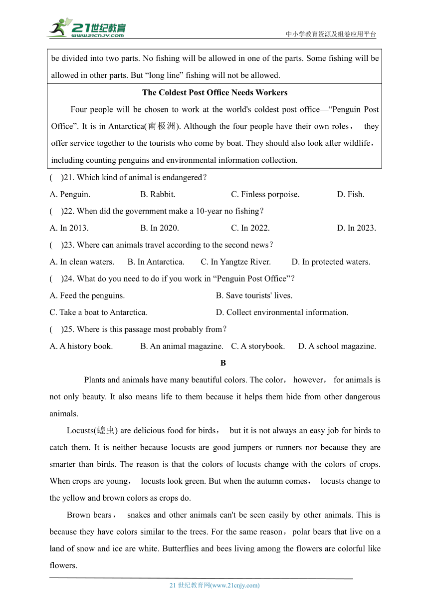 2024学年人教版八年级英语下册单元测试卷Unit7（含答案）