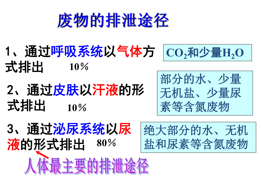 第5节 体内物质的动态平衡（2课时）（课件 52张ppt）