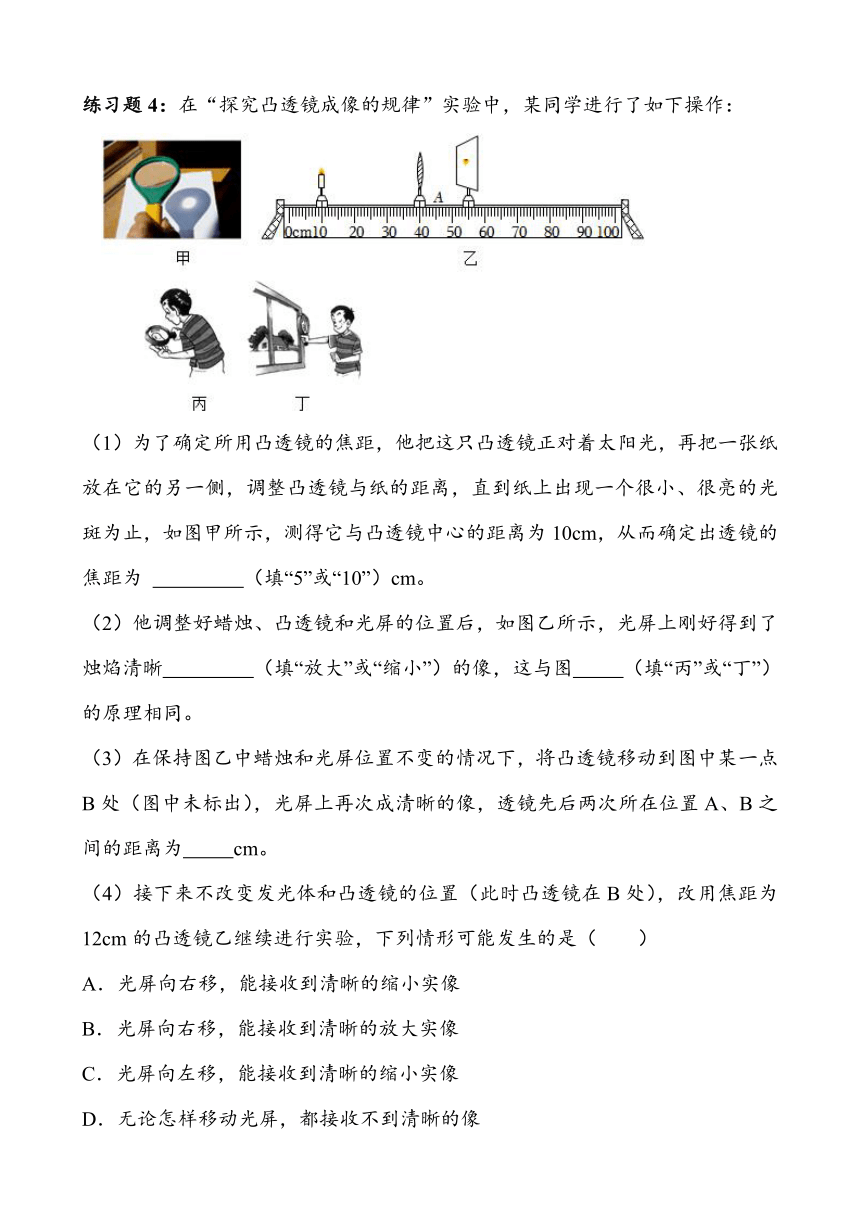 2023~2024学年湖北省武汉市四月调考物理专题复习——凸透镜成像规律实验（有答案）