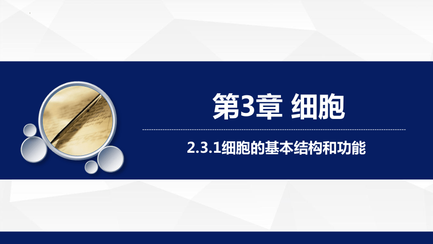 2.3.1细胞的基本结构和功能（第2课时）课件（共23张PPT）2023-2024学年北师大版生物七年级上册