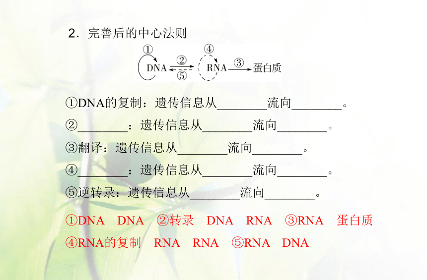 高中生物学业水平合格性考试复习专题八基因的表达课件（共52张PPT）