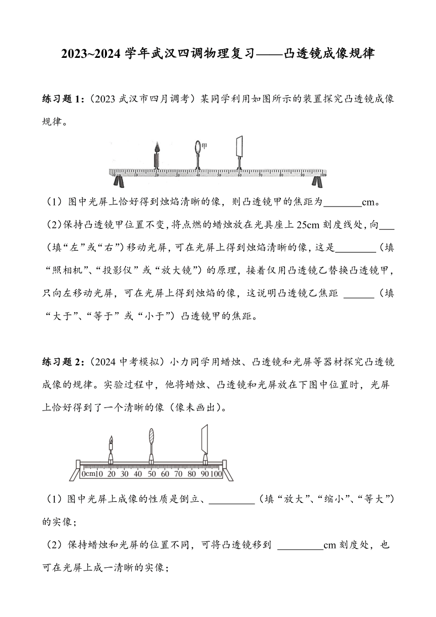 2023~2024学年湖北省武汉市四月调考物理专题复习——凸透镜成像规律实验（有答案）