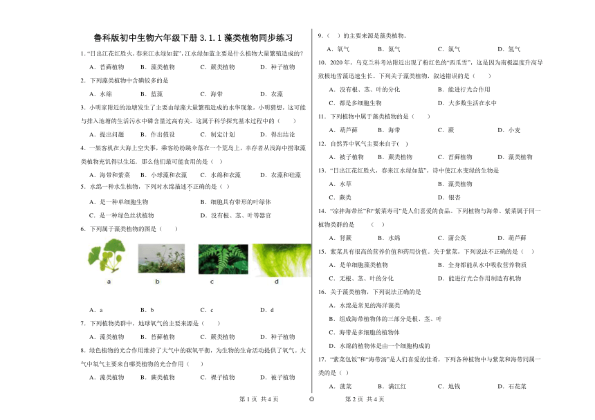 鲁科版初中生物六年级下册3.1.1藻类植物同步练习（含答案）