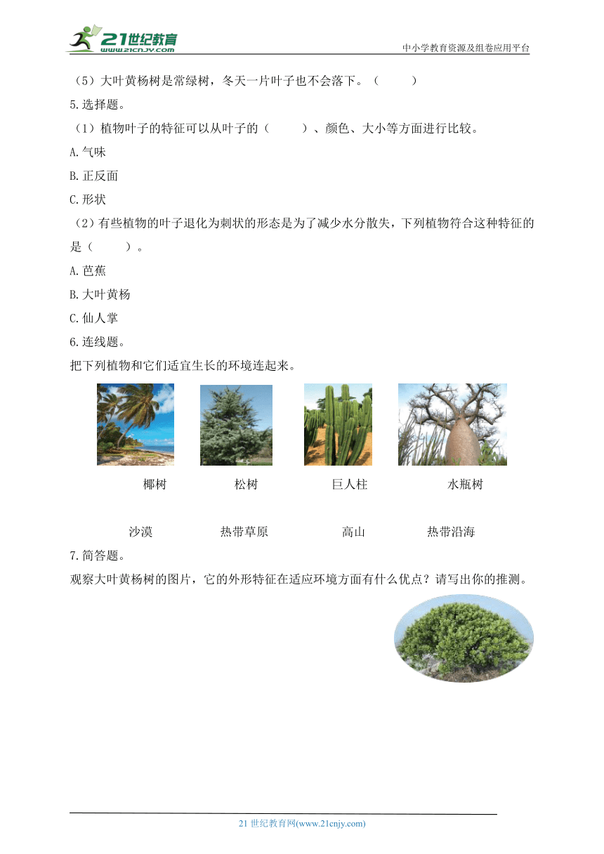三年级科学下册（苏教版）【分层作业】2.5 不同环境里的植物 （含答案）