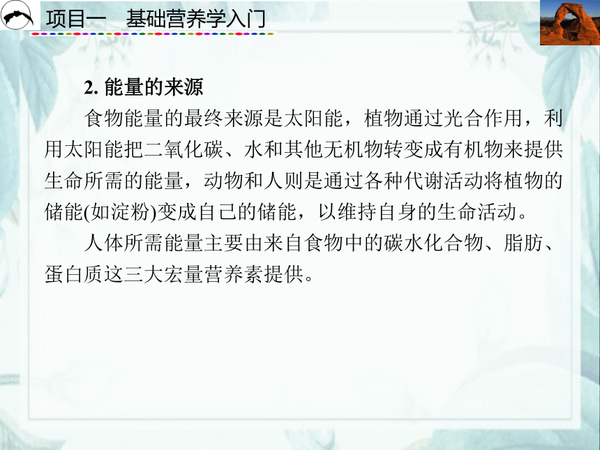 项目1  基础营养学入门_4 课件(共16张PPT)- 《食品营养与卫生》同步教学（西安科大版）