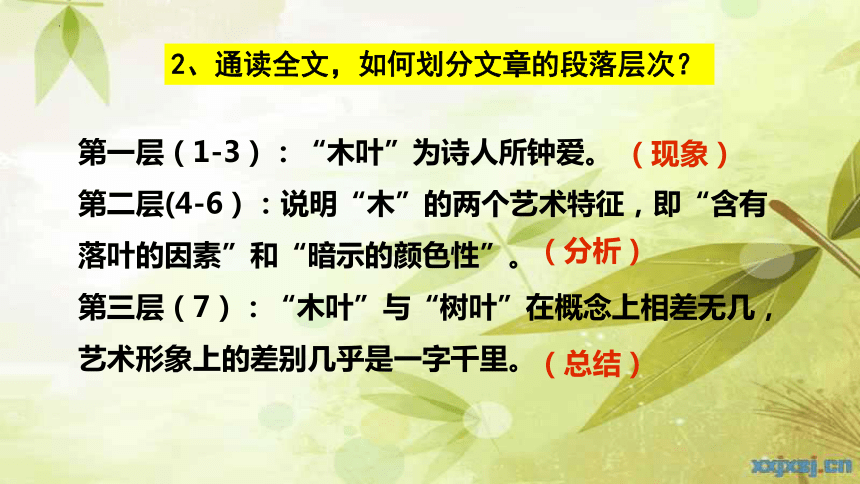 9.《说“木叶”》课件(共28张PPT) 统编版高中语文必修下册