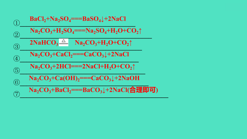 2024河北中考化学复习 板块一 主题7　盐和化肥(1.5~10分) 课件(共79张PPT)