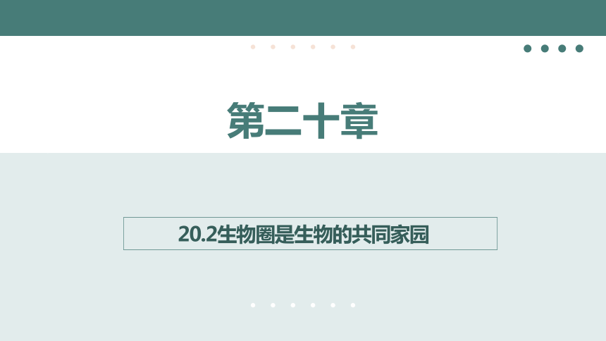 7.20.2 生物圈是生物的共同家园同步课件 (共17张PPT)苏教版生物八年级上册