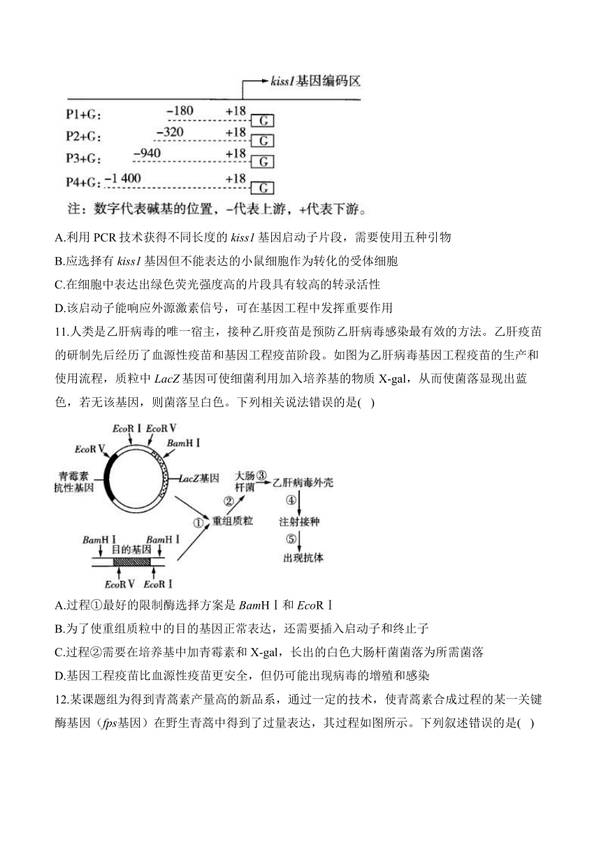 第三章 基因工程—2023-2024学年高二生物学苏教版（2019）选择性必修三单元检测卷（B卷）（含解析）