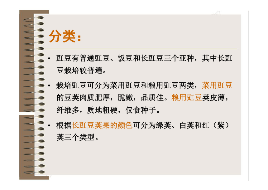 项目4.2 豆类蔬菜生产--豇豆 课件(共41张PPT)- 《蔬菜生产技术》同步教学（机械工业版）