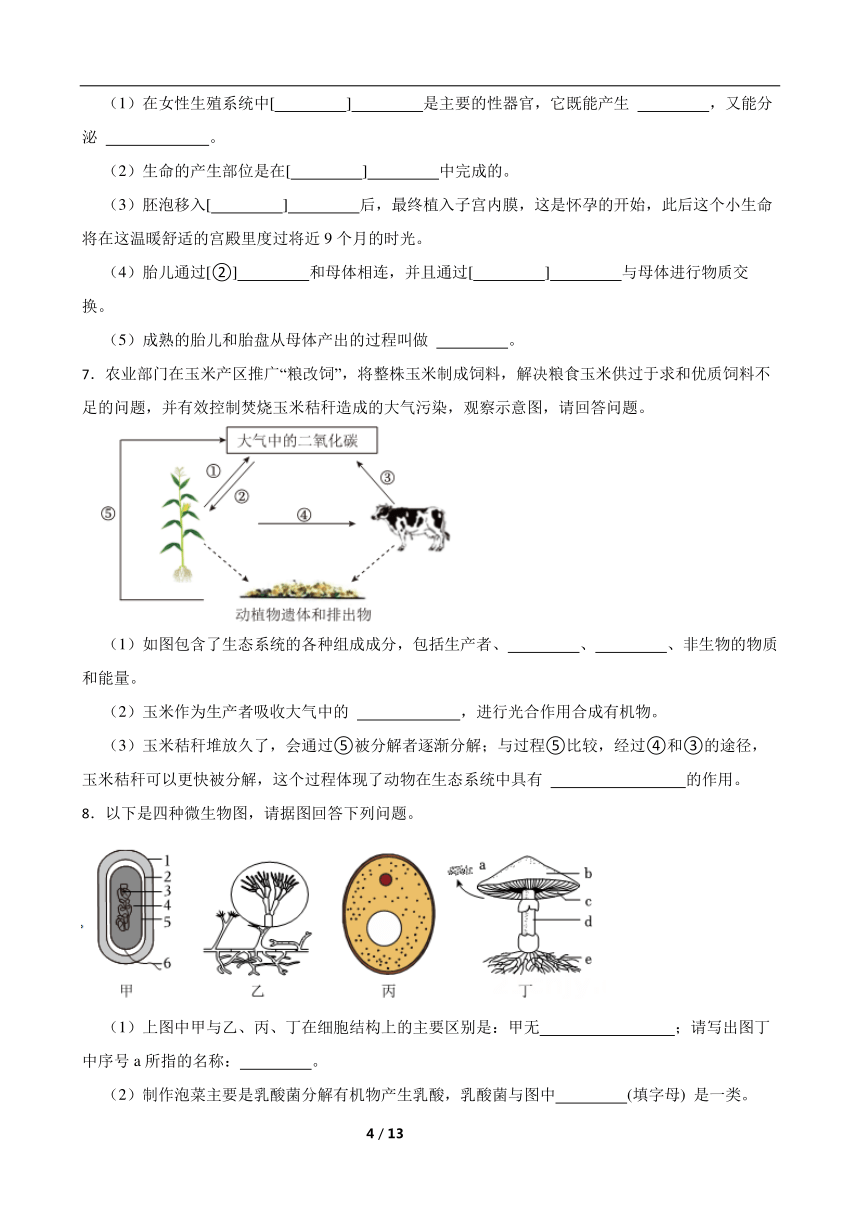 2024年中考生物专题复习 ：读图理解题（含答案）