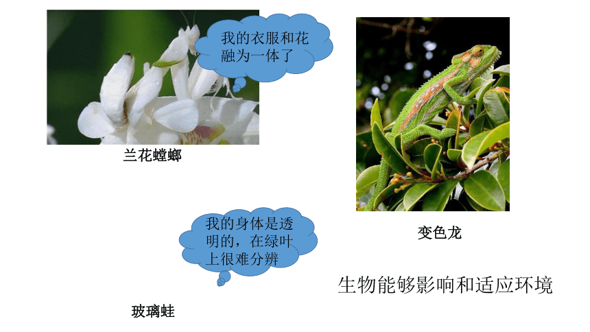 2021-2022学年苏科版七年级生物上册1.1.1  生物与生物学  课件(共25张PPT)