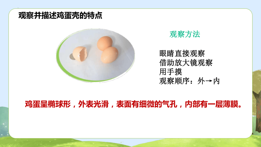2.6 蛋壳与薄壳结构 课件（26张PPT）