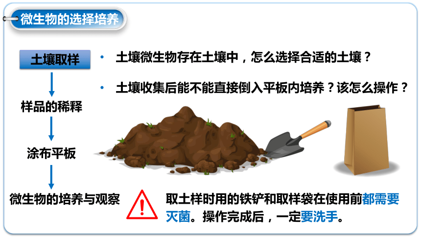 1.2.2微生物的选择培养和计数-(共30张PPT)课件人教版2019选择性必修3