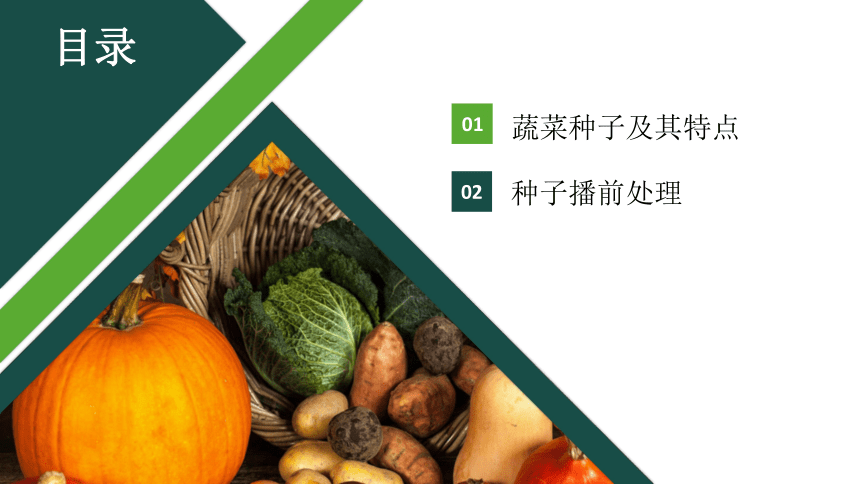 2.1.1蔬菜种子浸种处理 课件(共65张PPT)-《蔬菜生产技术》同步教学（中国农业出版社）