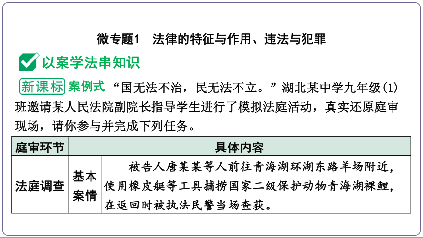 27【2024中考道法一轮复习分册精讲】 法治教育常考易混点微专题课件(共73张PPT)