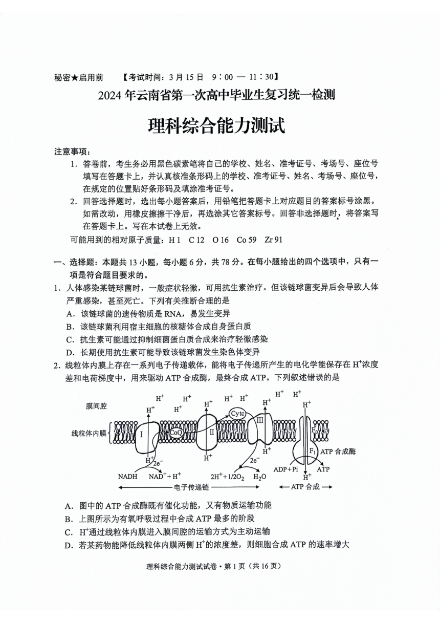 2024届云南省高三下学期一模理综试题（PDF版无答案）