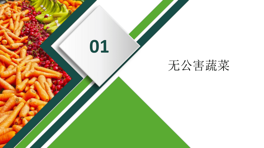 1.2蔬菜安全生产体系 课件(共21张PPT)-《蔬菜生产技术》同步教学（中国农业出版社）