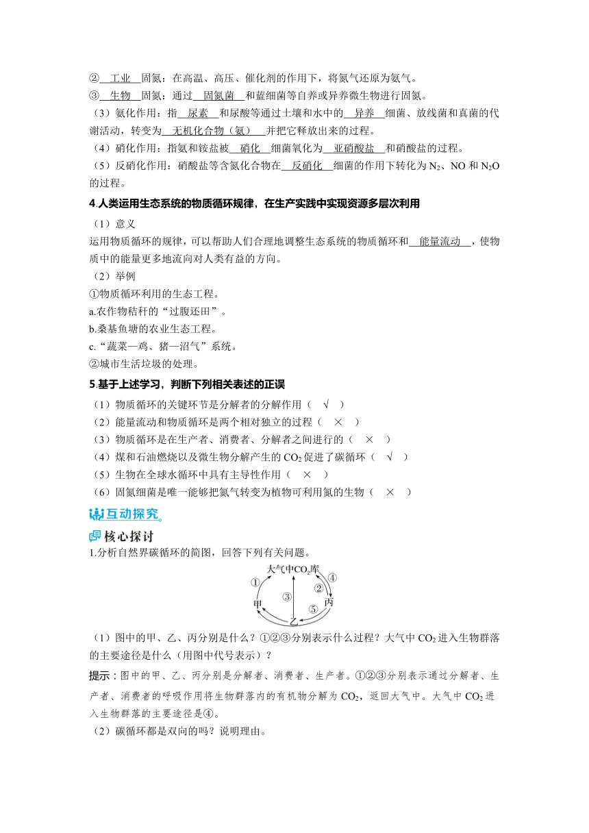 2023-2024学年浙科版选择性必修2 第三章第四节　生态系统中的物质能被循环利用 学案（含解析）