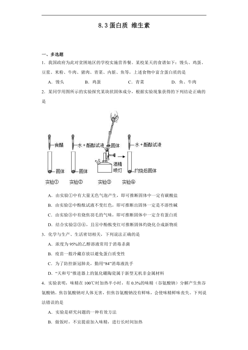 8.3蛋白质维生素同步练习(含答案)沪教版化学九年级下册