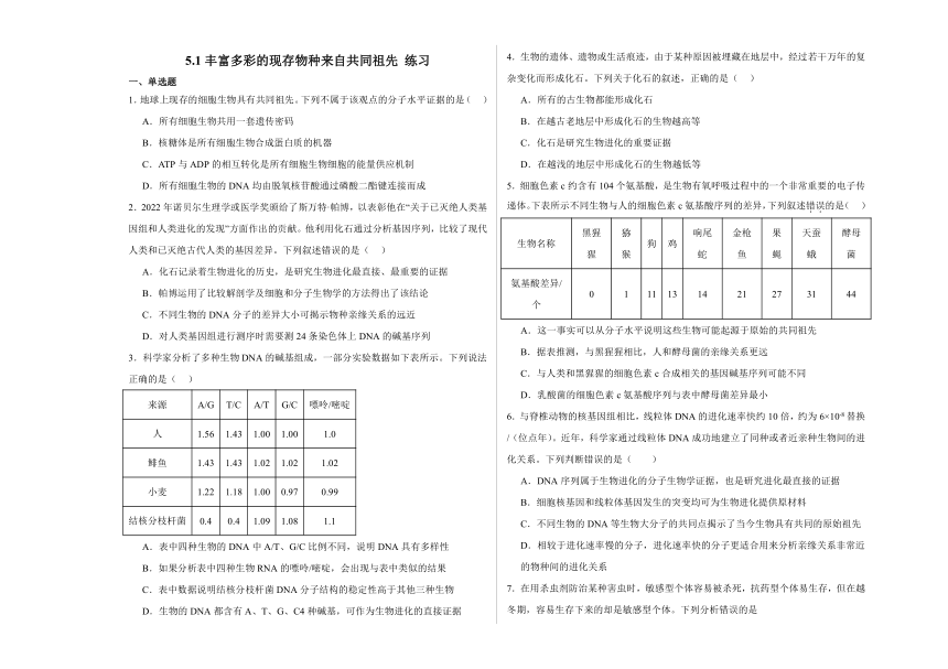 5.1丰富多彩的现存物种来自共同祖先 练习2023-2024学年高一下学期生物浙科版必修2（含解析）