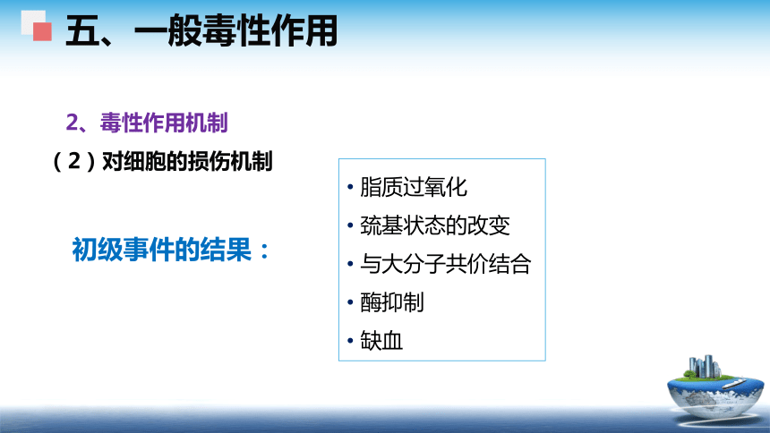 4食品安全性评价（2） 课件(共58张PPT)- 《食品安全与控制第五版》同步教学（大连理工版）