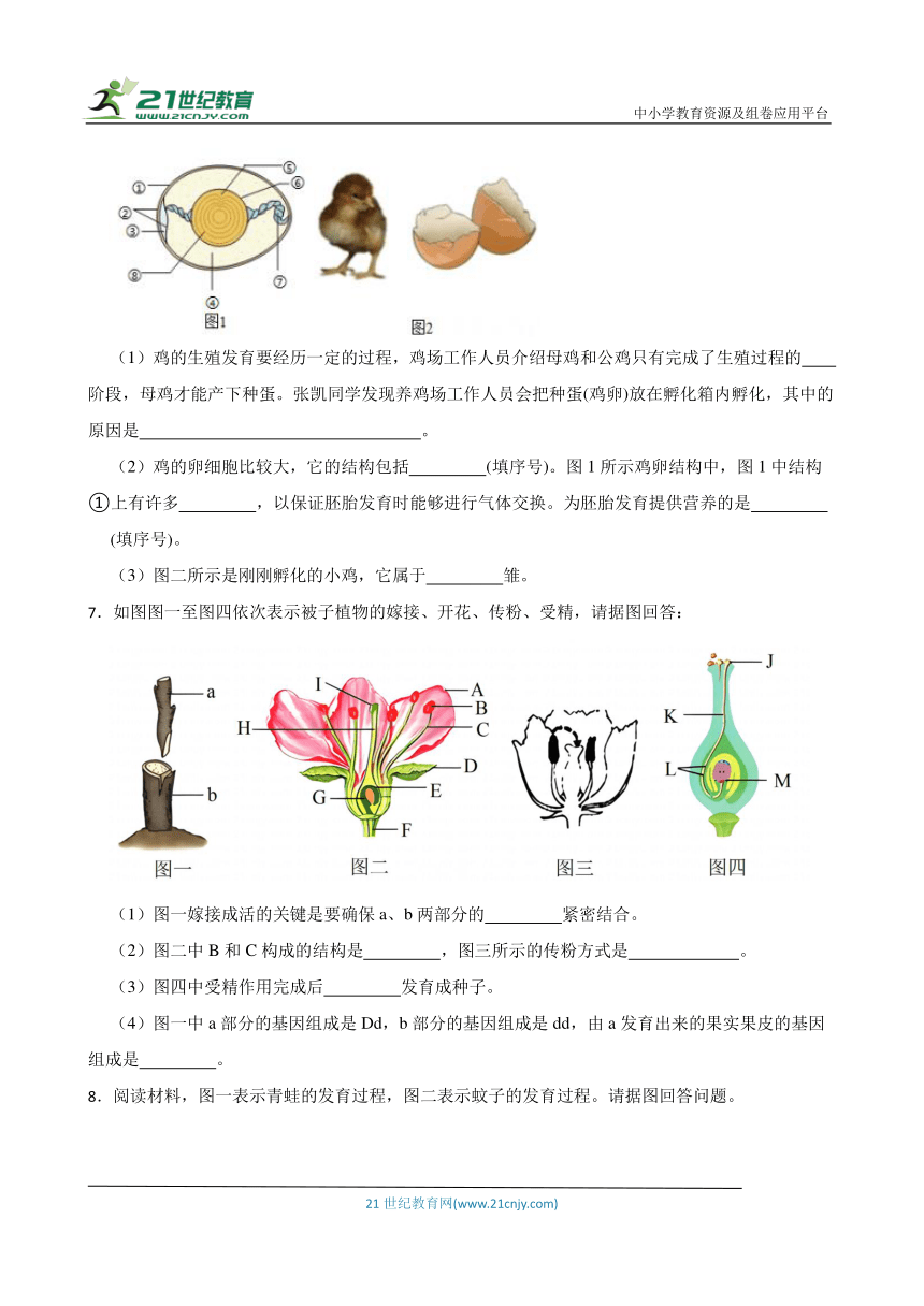 2024年中考生物读图理解专题复习：生物的生殖与发育（含答案）