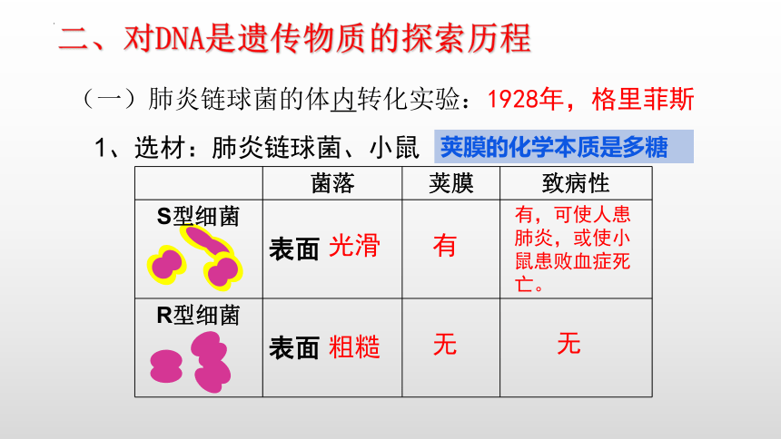 3.1DNA是主要的遗传物质课件（共30张PPT）-人教版必修2