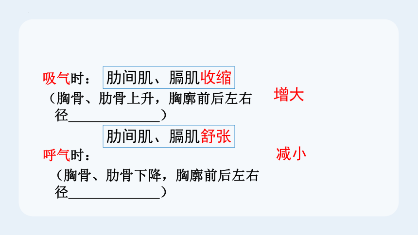 4.3.2 发生在肺内的气体交换2023-2024学年七年级下册生物同步精品课件（人教版）(共22张PPT)