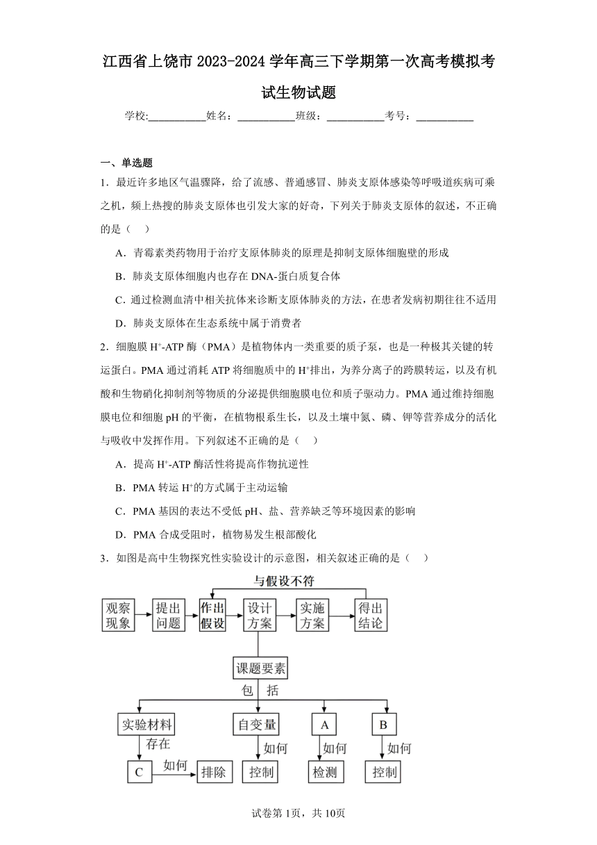 江西省上饶市2023-2024学年高三下学期第一次高考模拟考试生物试题（含解析）