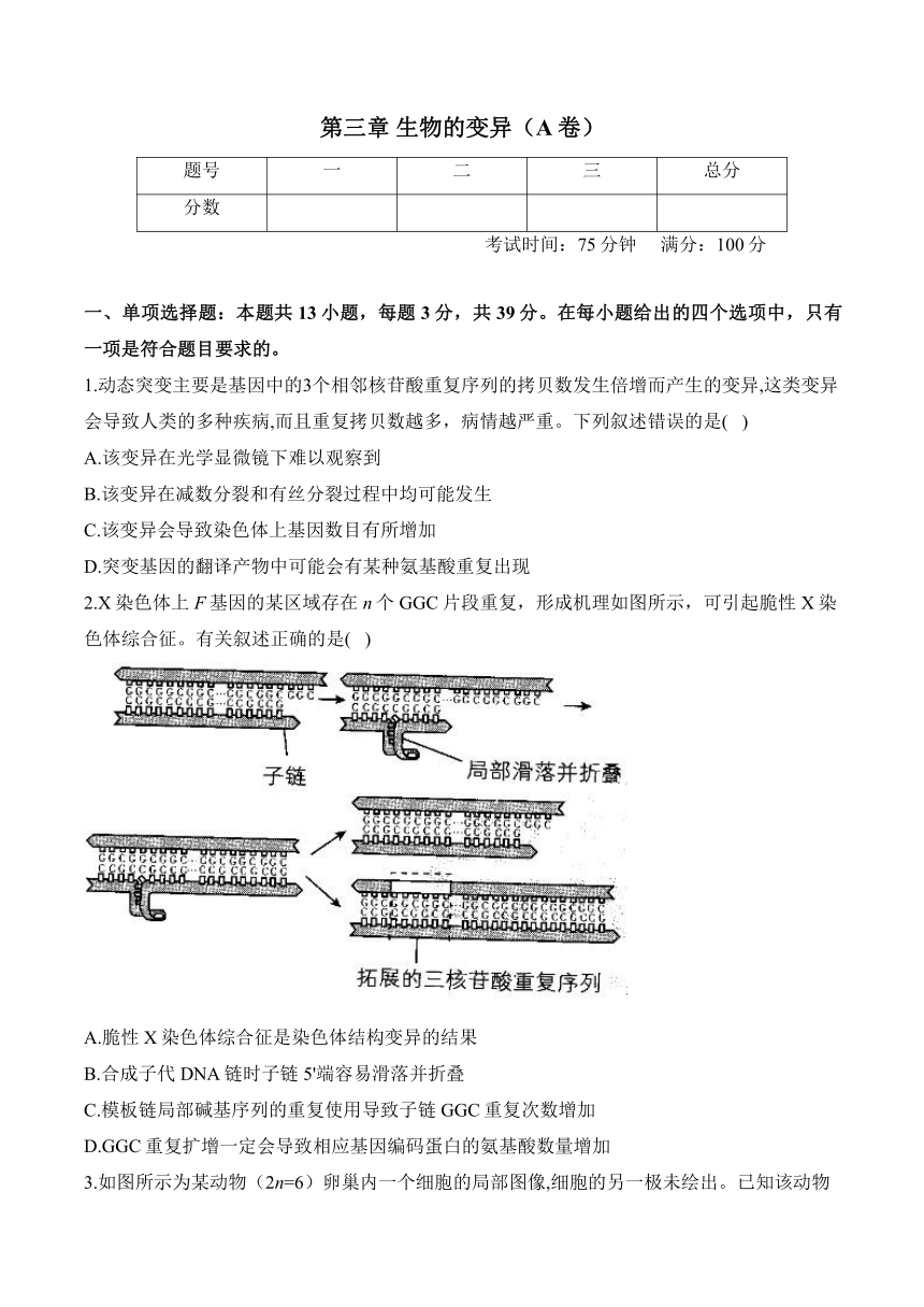 第三章 生物的变异—2023-2024学年高一生物学苏教版（2019）必修二单元检测卷（A卷）（含解析）