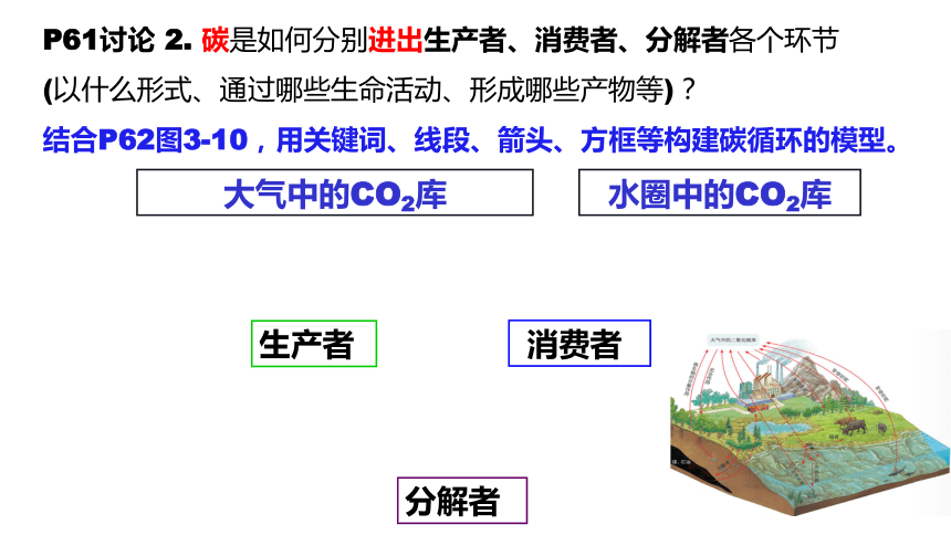 3.3生态系统的物质循环课件(共26张PPT)-人教版（2019）选择性必修2