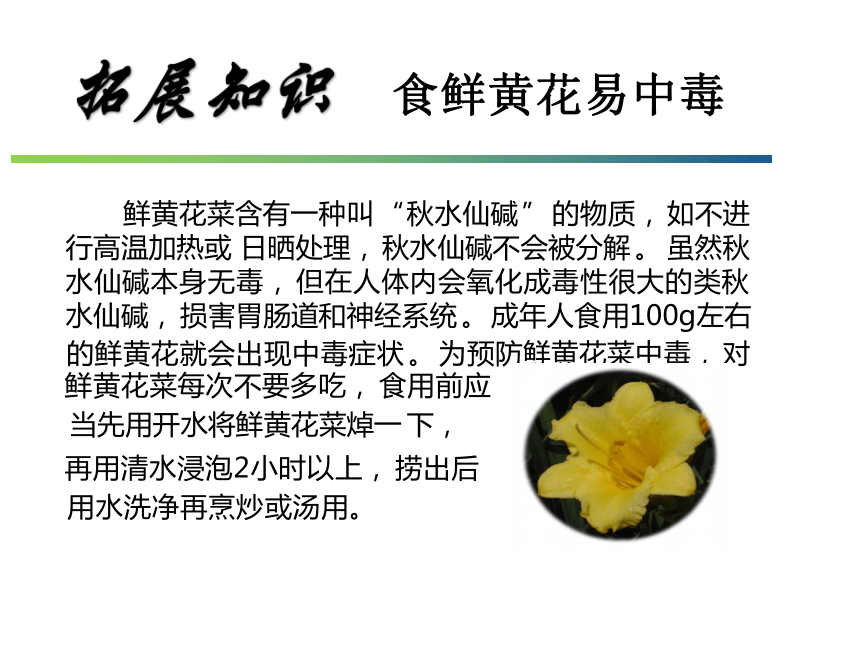 14.1 芦　笋 课件(共35张PPT)- 《蔬菜生产技术(南方本)》同步教学（中国农业大学出版社）