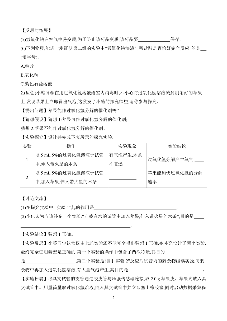 2024年中考化学总复习 特色专题专训 题型五　实验探究题 (含解析)