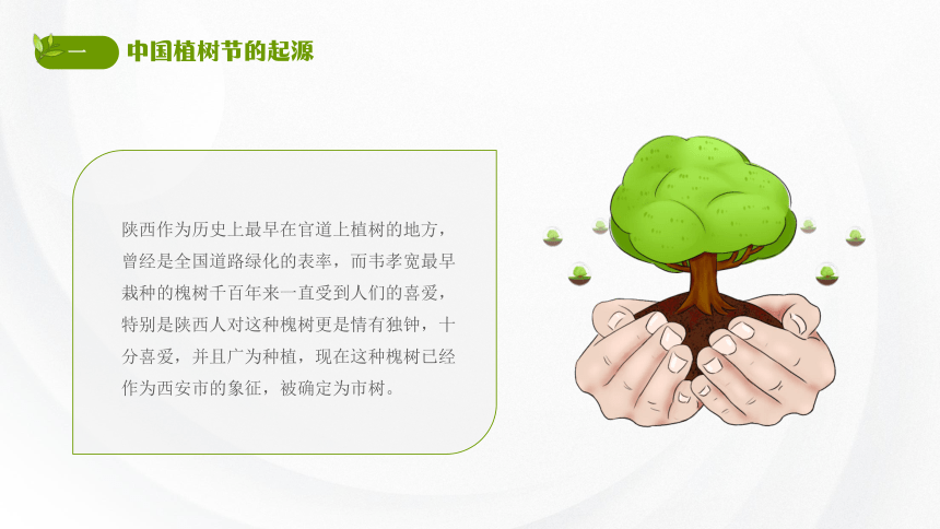 【植一棵树，美化家园】“植”此青绿，拥抱春天-2024年3月12日植树节主题班会（初中通用版）