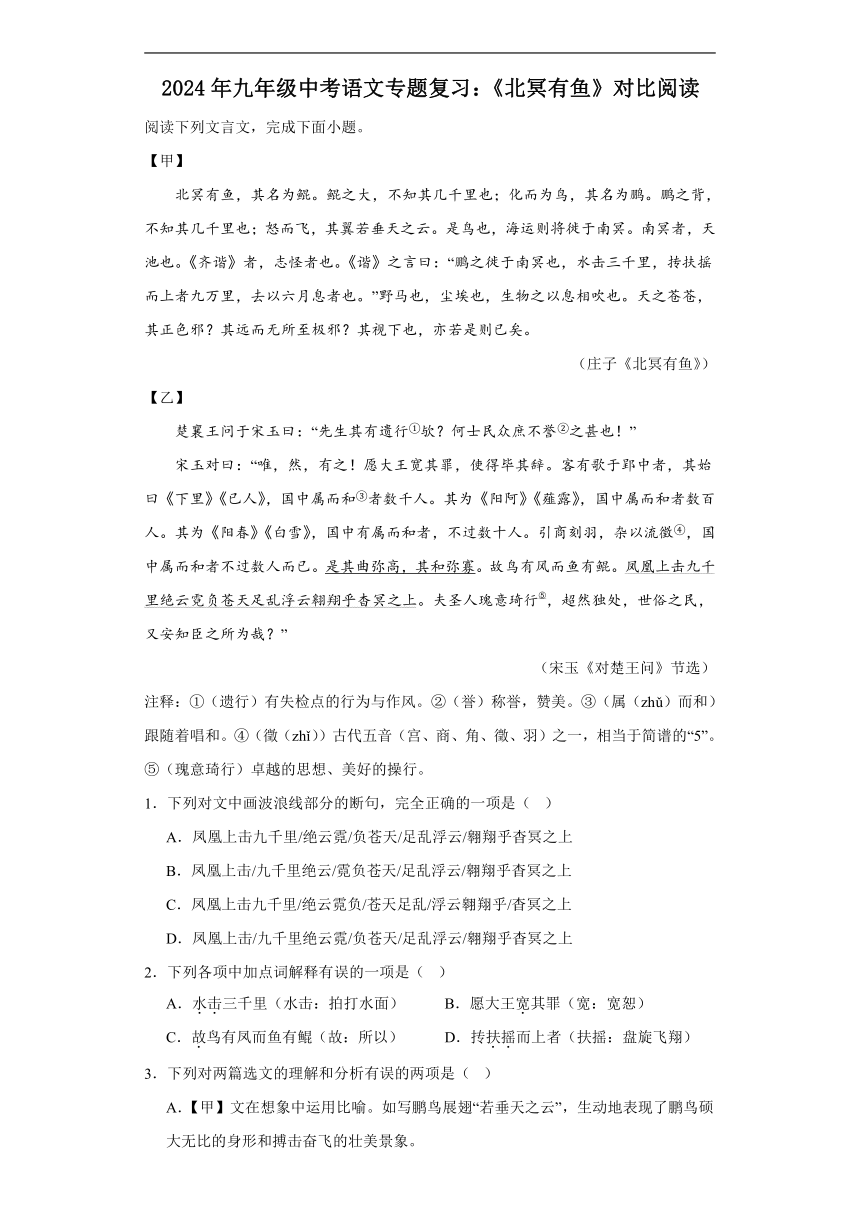 2024年九年级中考语文专题复习：《北冥有鱼》对比阅读（含答案）