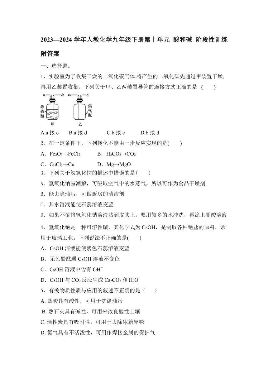 2023—2024学年人教化学九年级下册第十单元 酸和碱 阶段性训练（含答案）