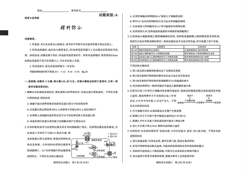 山西省校际名校2024届高三下学期一模联考试题 理综 （PDF版含解析）