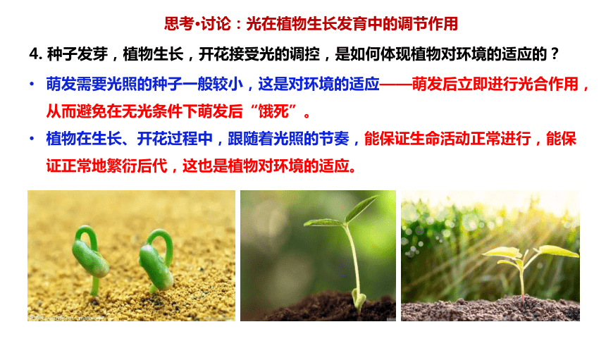 5.4环境因素参与调节植物的生命活动课件(共26张PPT)2023-2024学年高二上学期生物人教版选择性必修1