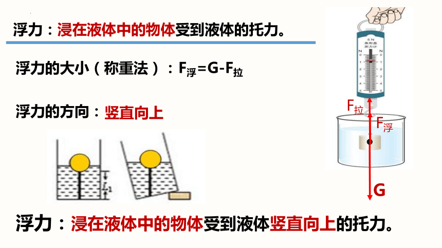 9.1认识浮力  课件(共16张PPT) 八年级物理下册课件（沪粤版）