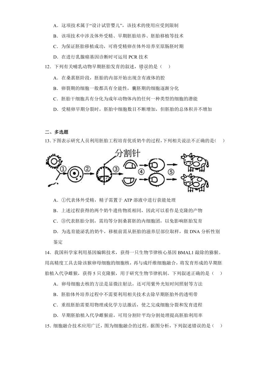 2.4胚胎工程及其应用 练习2023-2024学年高二下学期生物苏教版（2019）选择性必修3（解析版）