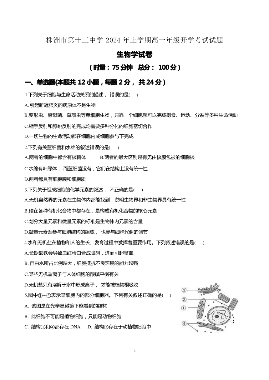 湖南省株洲市第十三中学2023-2024学年高一下学期开学考试生物试题（无答案）